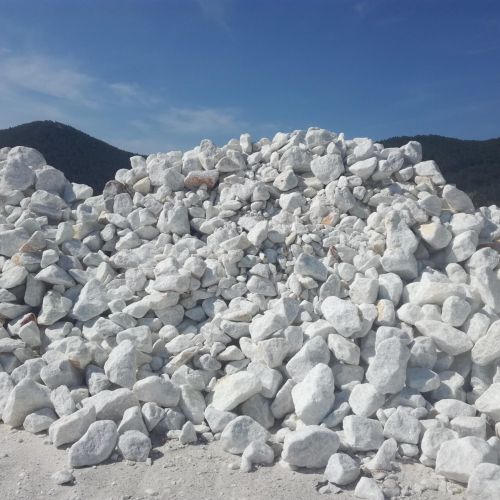 z1988568325998_06fd6f474789299db1a7f3371fa943d4